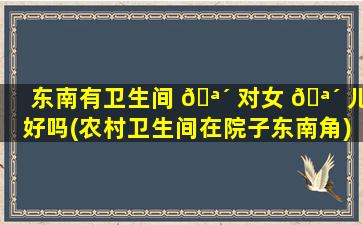 东南有卫生间 🪴 对女 🪴 儿好吗(农村卫生间在院子东南角)